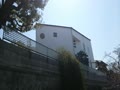 動画:うぐいすの美声 (*´з`)